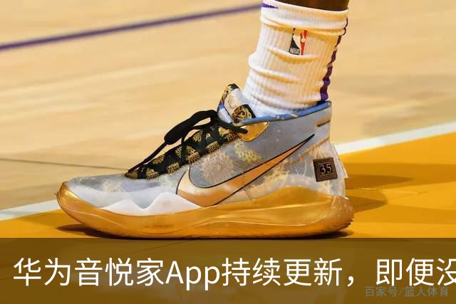 华为音悦家App持续更新，即便没有商业回报